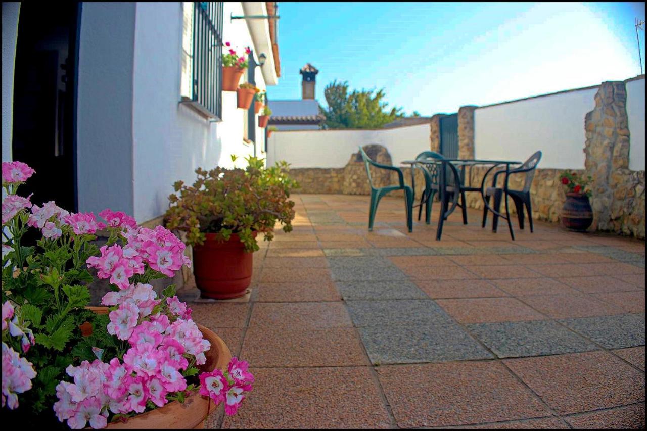 Chalet Con Piscina Privada Conil De La Frontera Zewnętrze zdjęcie